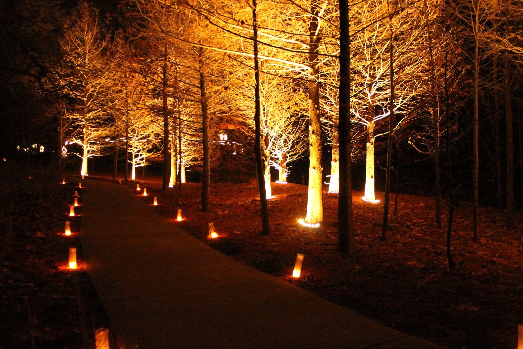 Luminary Walk The Arts & Recreation Foundation of Overland Park